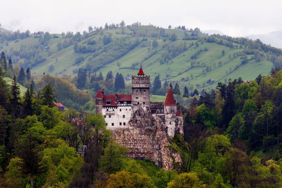 Bran: Guided Castle Tour - Tour Experience
