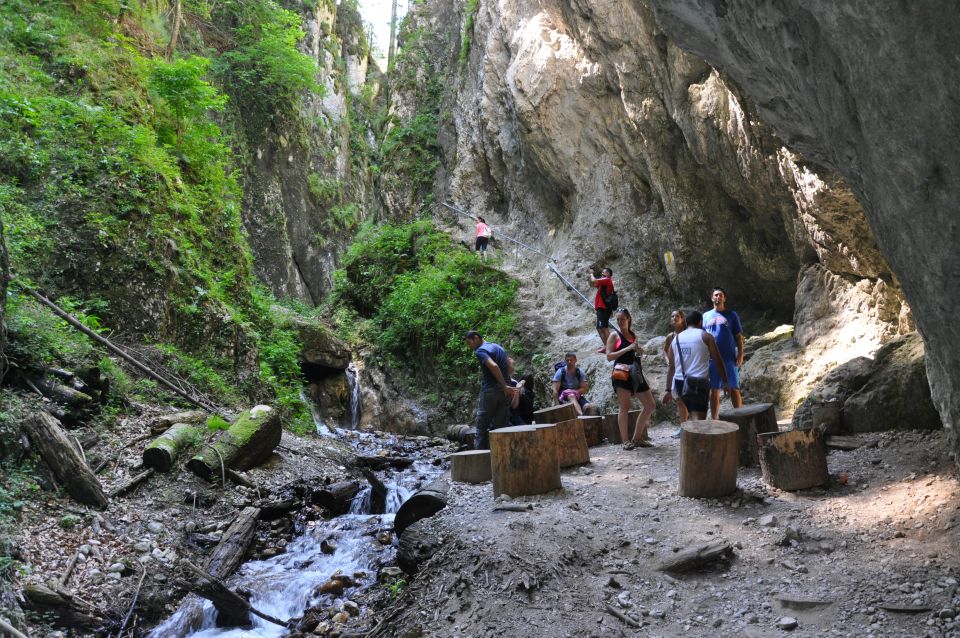 Brasov: Small-Group 7 Ladders Canyon Day Trip - Experience Highlights