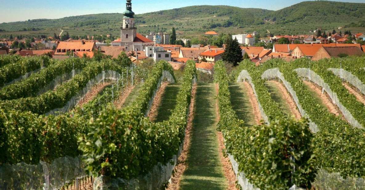 Bratislava: 6-Hour Carpathian Wine Tour and Tasting - Booking Details