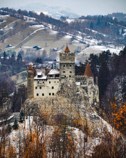 Brown Bear Sanctuary, Bran Castle & Rasnov Fortress Day Tour - Inclusions and Amenities