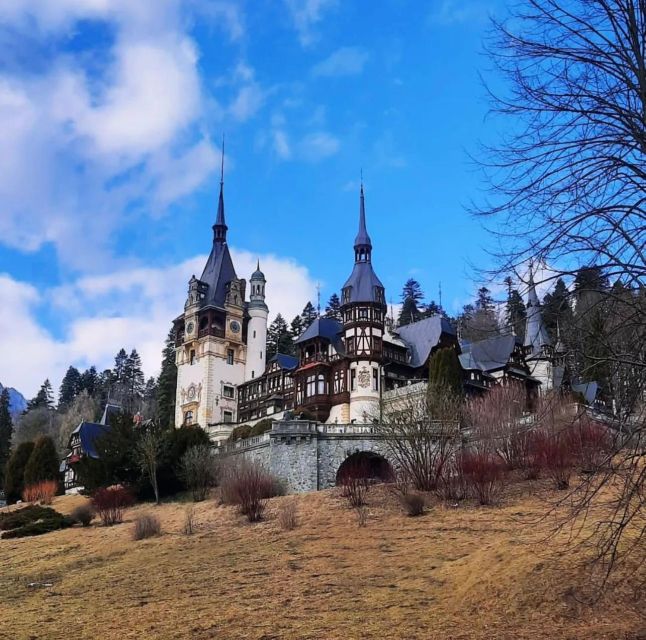 Bucharest: Bran Castle, Peles Castle and Brasov Day Tour - Tour Overview