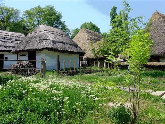 Bucharest: Private City Tour Guided Experience - Tour Details