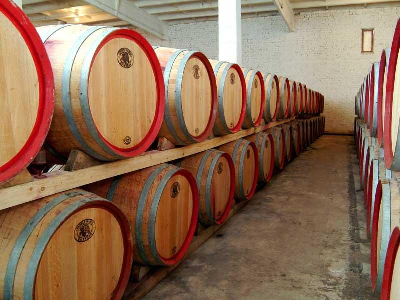 Bucharest: Slanic Salt Mines and Wine Tasting Tour - Good To Know