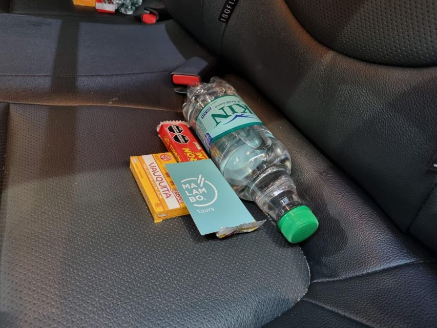 Buenos Aires Private Transfer Connection From Ezeiza to Aeroparque - Booking Details