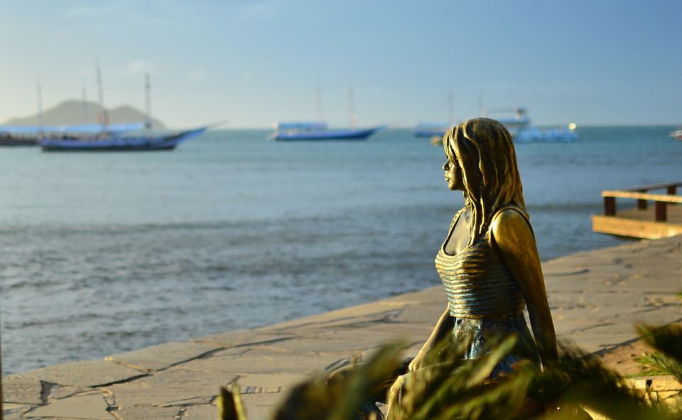 Búzios: City Tour & Beach Hopping With Lunch - Booking and Logistics Details