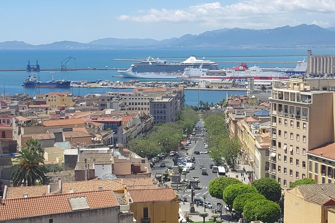 Cagliari Private Shore Excursion: Hop-on Hop-off City Experience - Highlights of the Tour