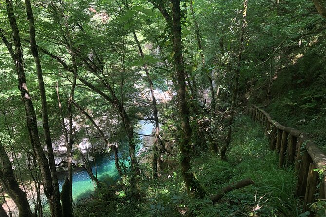 Calore Gorge Excursion - Booking Process