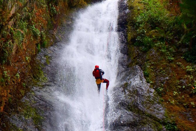 Canyoning Cloud Forest Private Day Trip - Trip Highlights