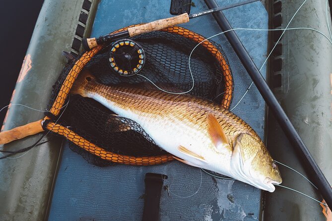 Catch Redfish in the Marsh From a SUP in New Orleans - Best Time for Redfish Fishing
