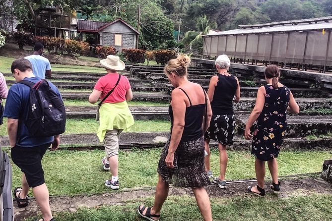 Chocolate Factory Belmont Estate, Annandale Falls & Grand Etang Lake Tour - Grand Etang Lake Experience