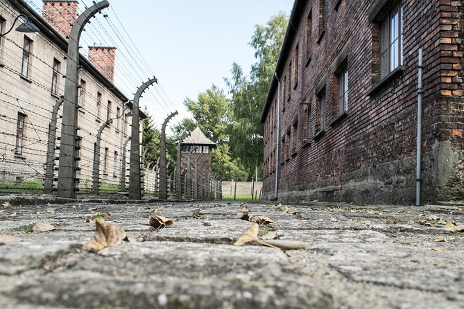 Combined: Auschwitz Birkenau and Salt Mine Private Chauffeur From Krakow - Customer Reviews and Feedback