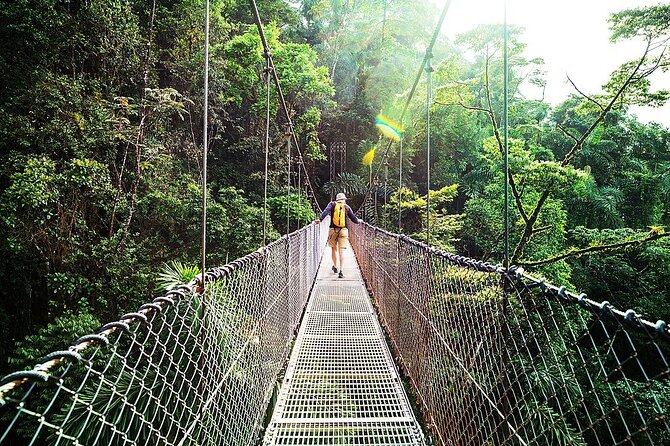Combo: Day Trip to Hanging Bridges ZipLine in Monteverde - Reviews Summary