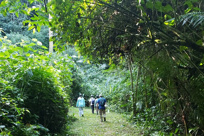 Crystal Cave Adventure: Belize's Hidden Treasure Reveal - Logistics