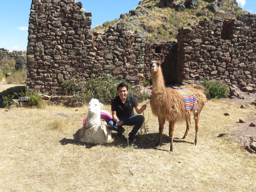 Cusco: Alpaca Therapy in the Cuyo Chico Community Half Day - Alpaca Therapy: A Unique Experience