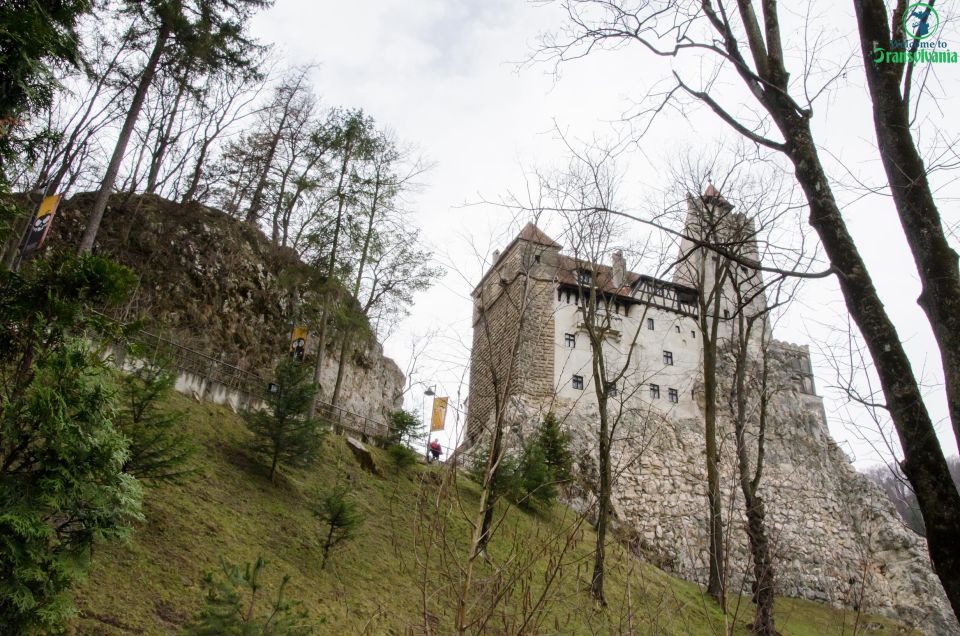 Day Trip Bran Castle, Rasnov Fortress and Bear Sanctuary - Experience the Majestic Bran Castle