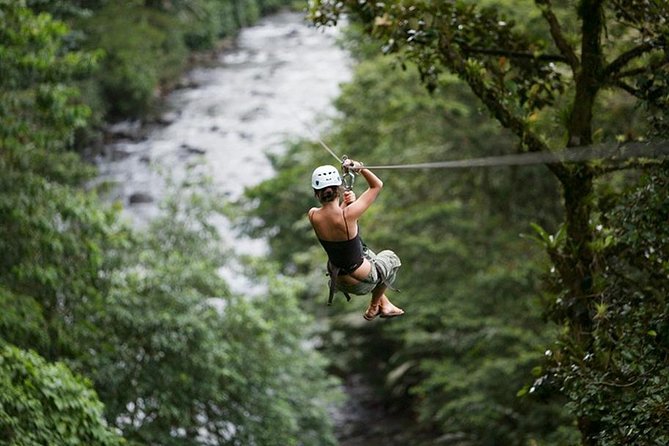 Day Trip From San Jose to Braulio Carrillo Canopy Tour - Tour Highlights