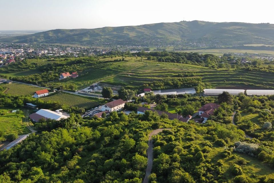 Dealu Mare Wineries: Wine Tasting Tour on the Old Wine Road - Tour Overview