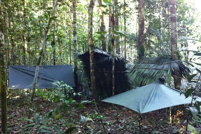 Dinner and Overnight in the Jungle in Manaus - Pickup Details