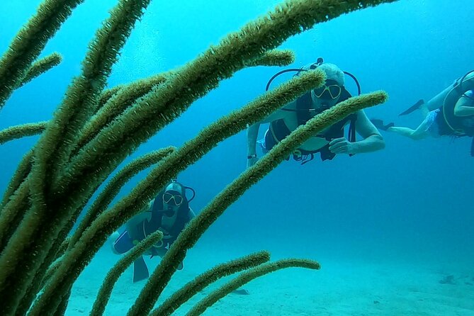 Discover Scuba Diving for Beginners in San Juan - Meeting and Pickup Details