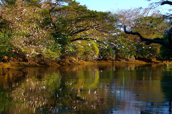 Discover the Exciting Palo Verde Boat Tour - Tour Highlights and Itinerary