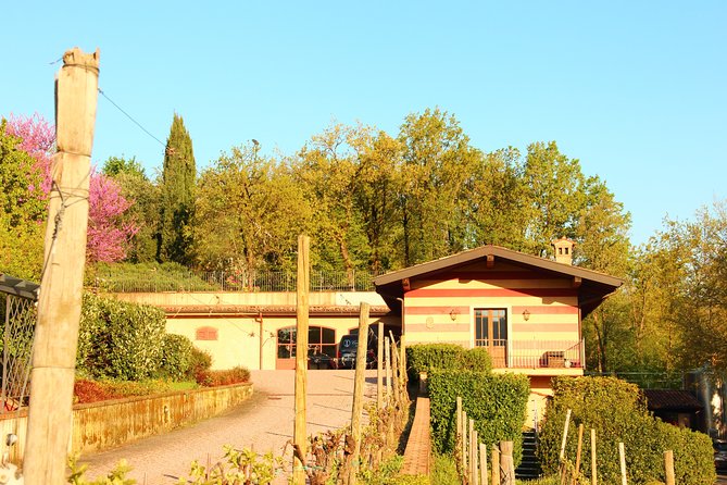 Discovering the Wines of Franciacorta - Franciacorta: A Sparkling Wine Region