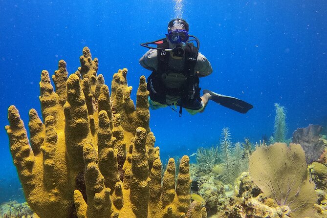 Diving Experience in San Andres - Best Diving Spots in San Andres
