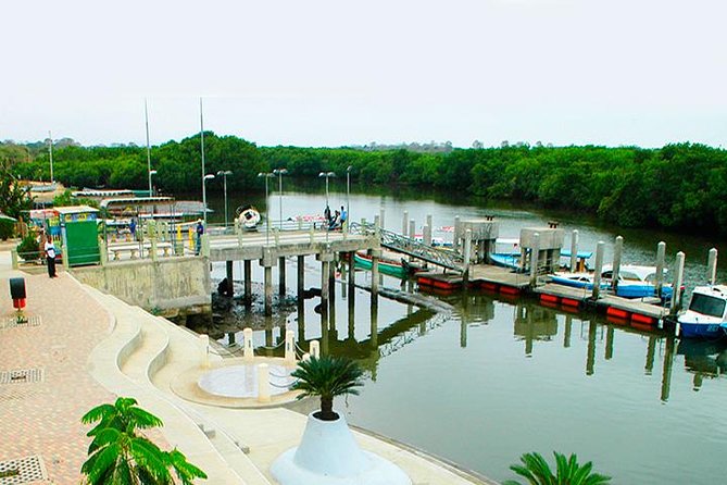Dolphin Delight: Unforgettable Puerto El Morro Experience - Cancellation Policy Information