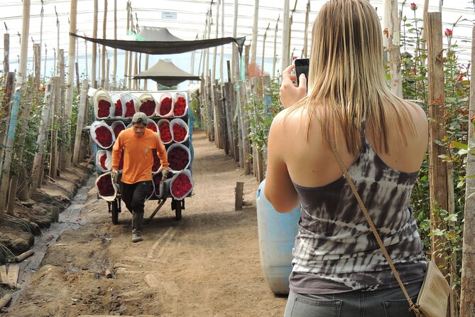 Ecuadorian Highlands Adventure: Rose Plantation & Market Tour - Itinerary Overview