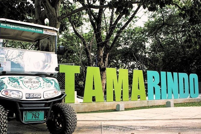Electric Golf Cart Rental Sparks Eco-Friendly Fun - Eco-Friendly Transportation Option