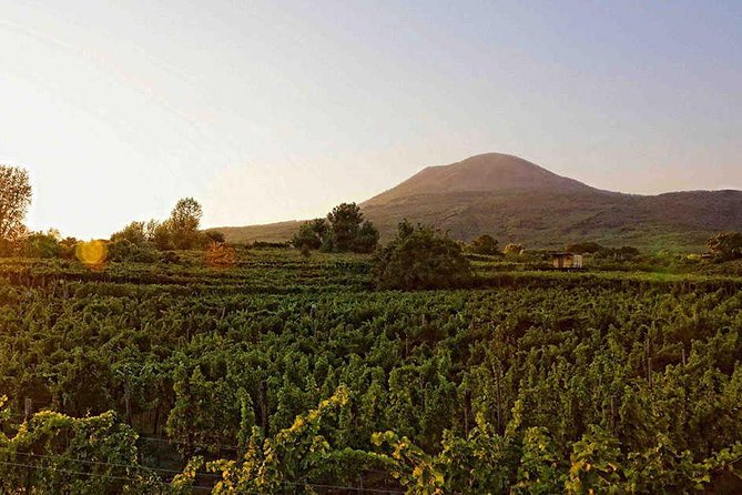 Enogastronomic Tour From Naples - Culinary Delights in Naples