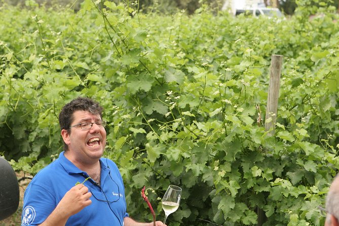 Evia Private Wine Tour With Spa Treatment - Important Reminders