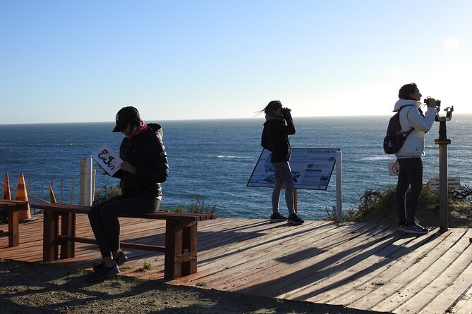 Exciting Orcas Watching Private Tour Await - Inclusions and Policies