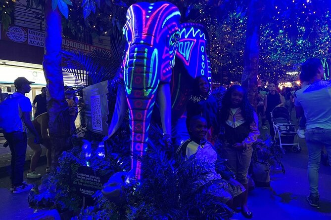Exclusive Christmas Lights Tour Lights Up Medellín - Customer Experiences