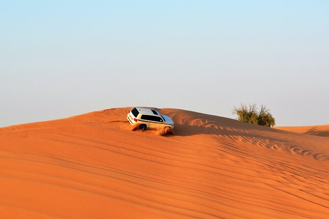 Exclusive Evening Desert Safari With Gourmet Dinner - Thrilling Desert Adventure