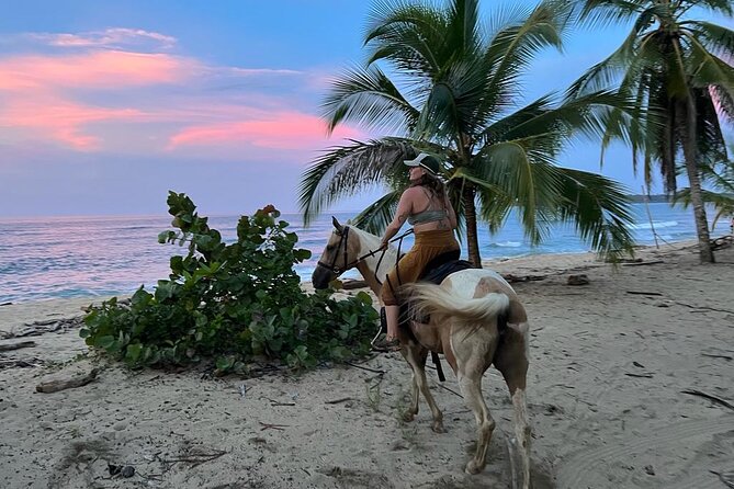 Exclusive Horseback Beach Tour in Puerto Viejo - Tour Itinerary
