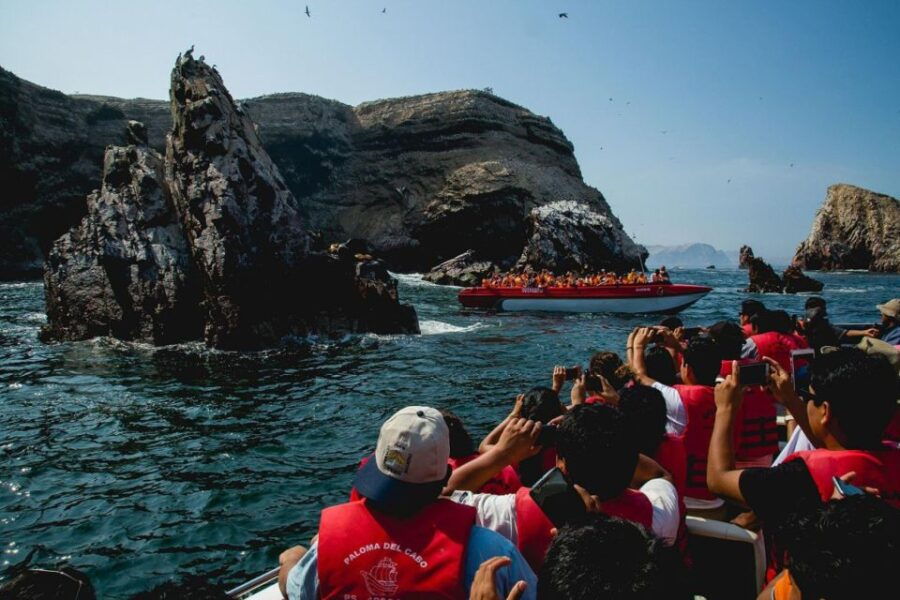 Excursion to Ballestas Islands and Paracas National Reserve - Highlights of the Excursion