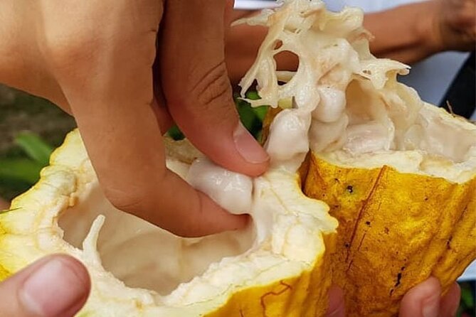 Explore Cacao Farm & Waterfalls on Tour - Customer Reviews