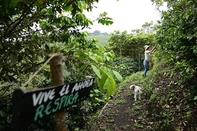 Farmers Experience in San Agustin - Good To Know