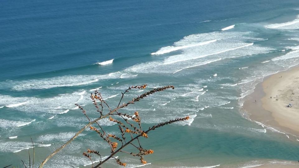 Florianópolis: Guarda Do Embau Day Trip With Pickup - Activity Details