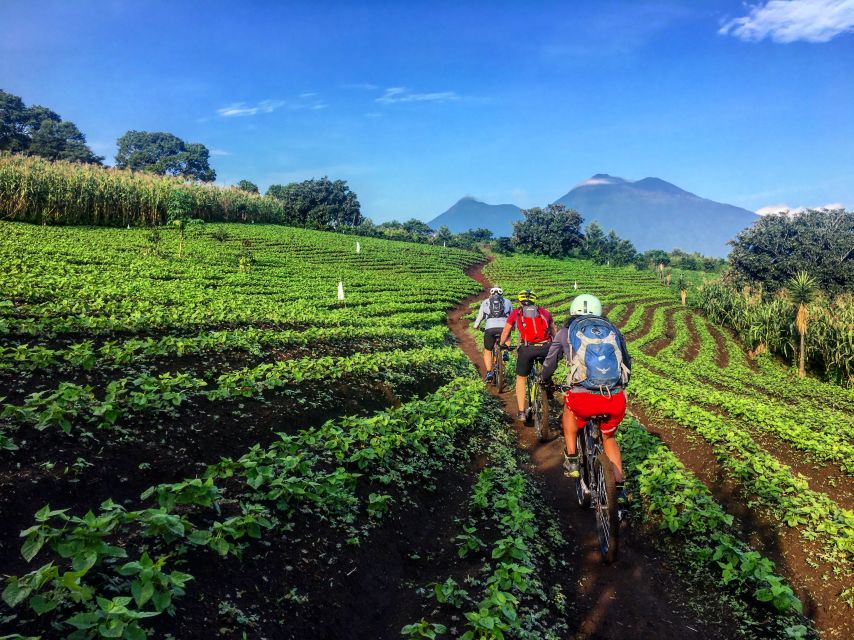From Antigua: Lake Atitlán Mountain Biking Adventure - Experience Highlights