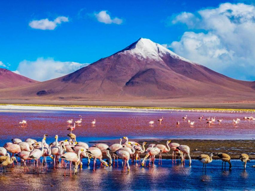 From Atacama Uyuni Salt Flat 4 Days the Largest Salt Flat - Experience Highlights and Tour Itinerary