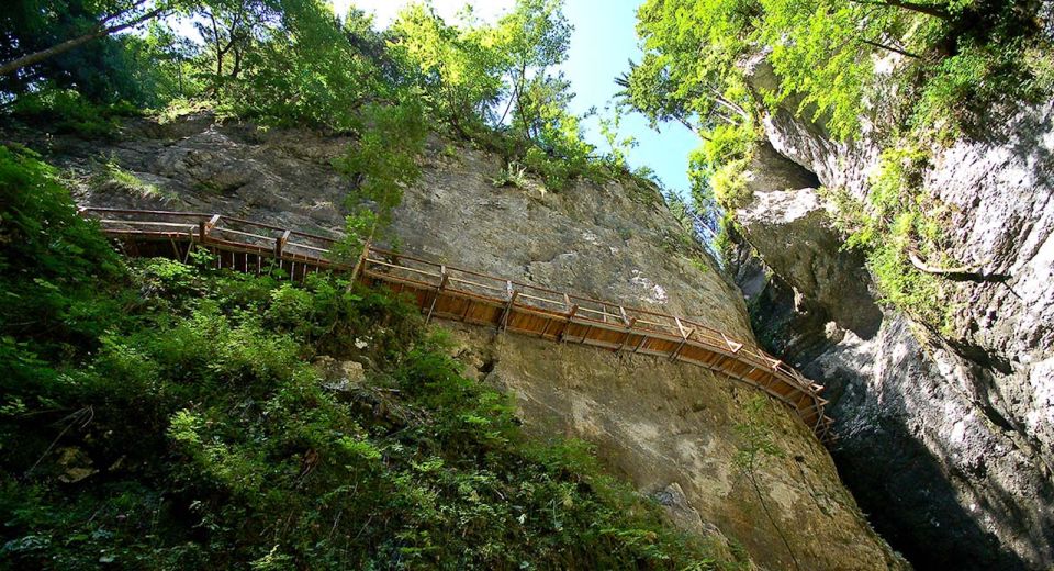 From Bled: Half-Day Pokljuka Gorge Trail Hike - Activity Details