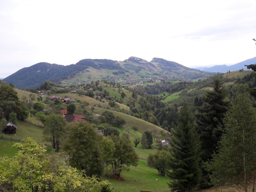 From Brasov: Piatra Craiului National Park & Village Tour - Experience Highlights
