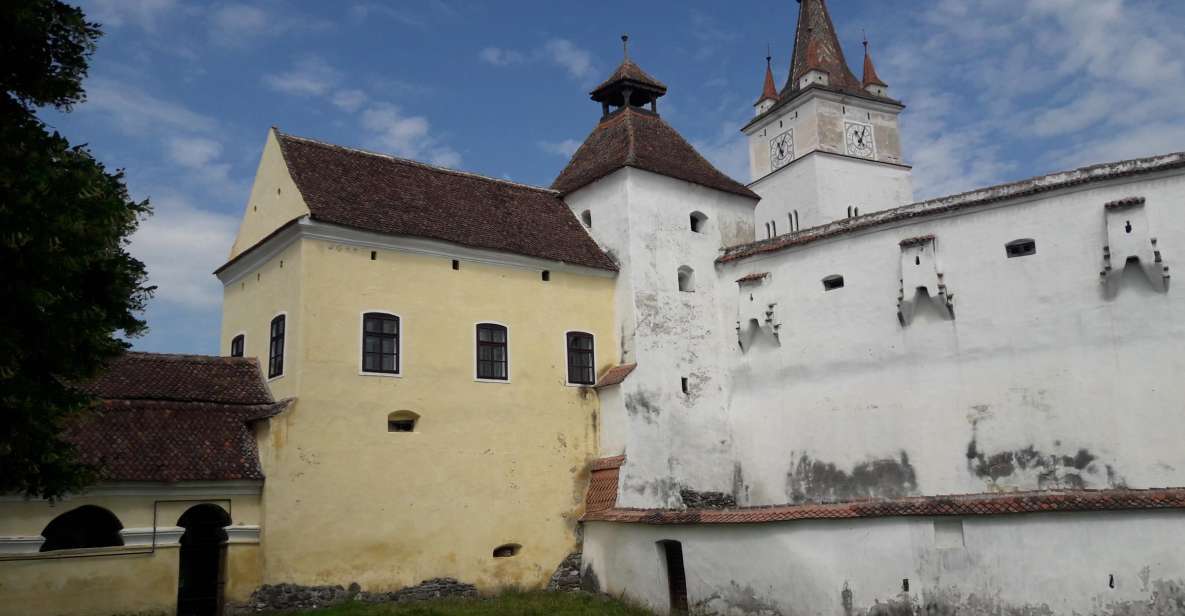 From Brasov: Prejmer, Harman, Bran, and Rasnov Day Tour - Tour Experience Highlights