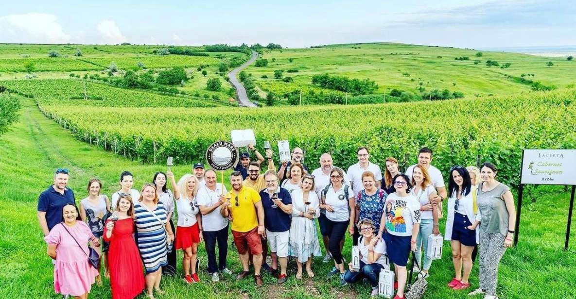 From Bucharest: Wine Tasting & Sunset on Old Wine Road - Highlights