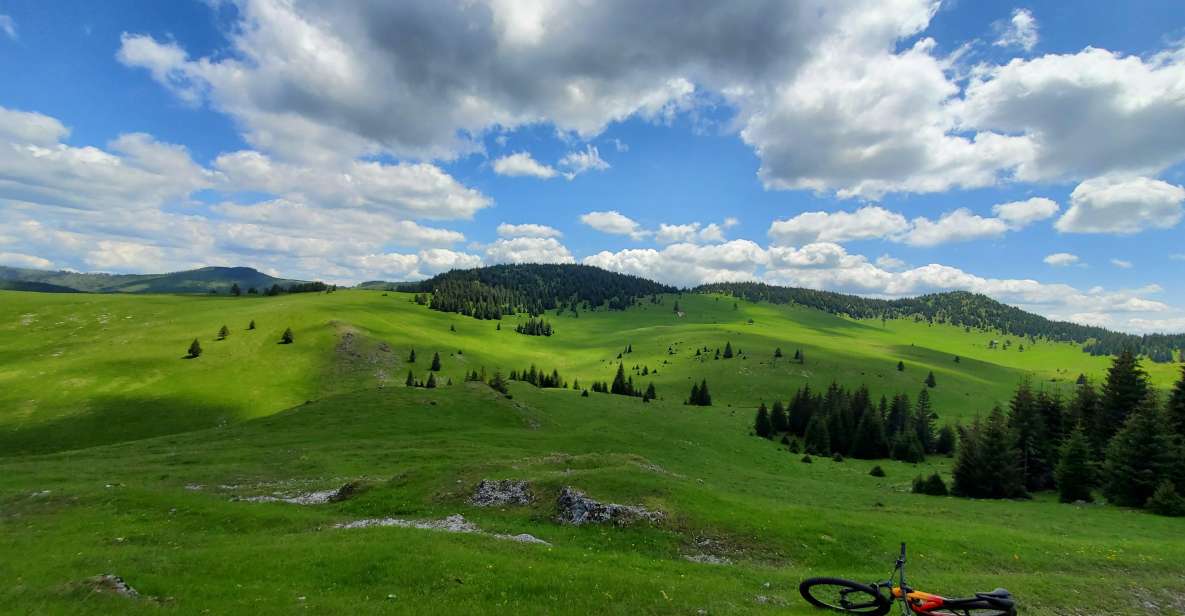From Cluj-Napoca: Carpathian Mountains Guided Scenic Hike - Good To Know