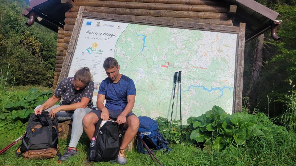 From Cluj-Napoca: Day Hike to Vlădeasa Peak - Activity Description