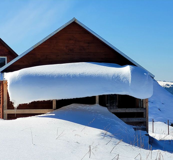 From Cluj: Winter Walking Trip on the Great Mountain - Snowshoeing in Carpathian Mountains