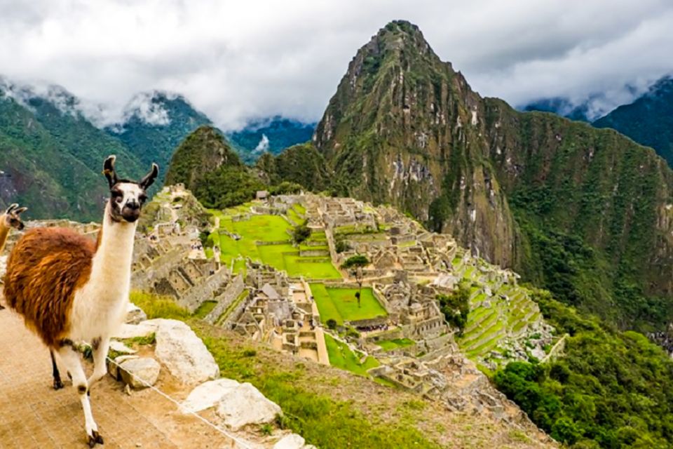 From Cusco: Full-Day Group Tour of Machu Picchu - Good To Know