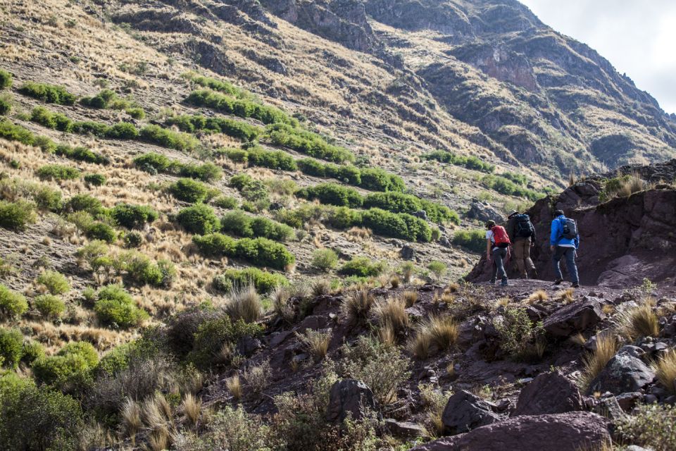 From Cusco: Huchuy Qosqo Private Full-Day Hike - Experience Highlights
